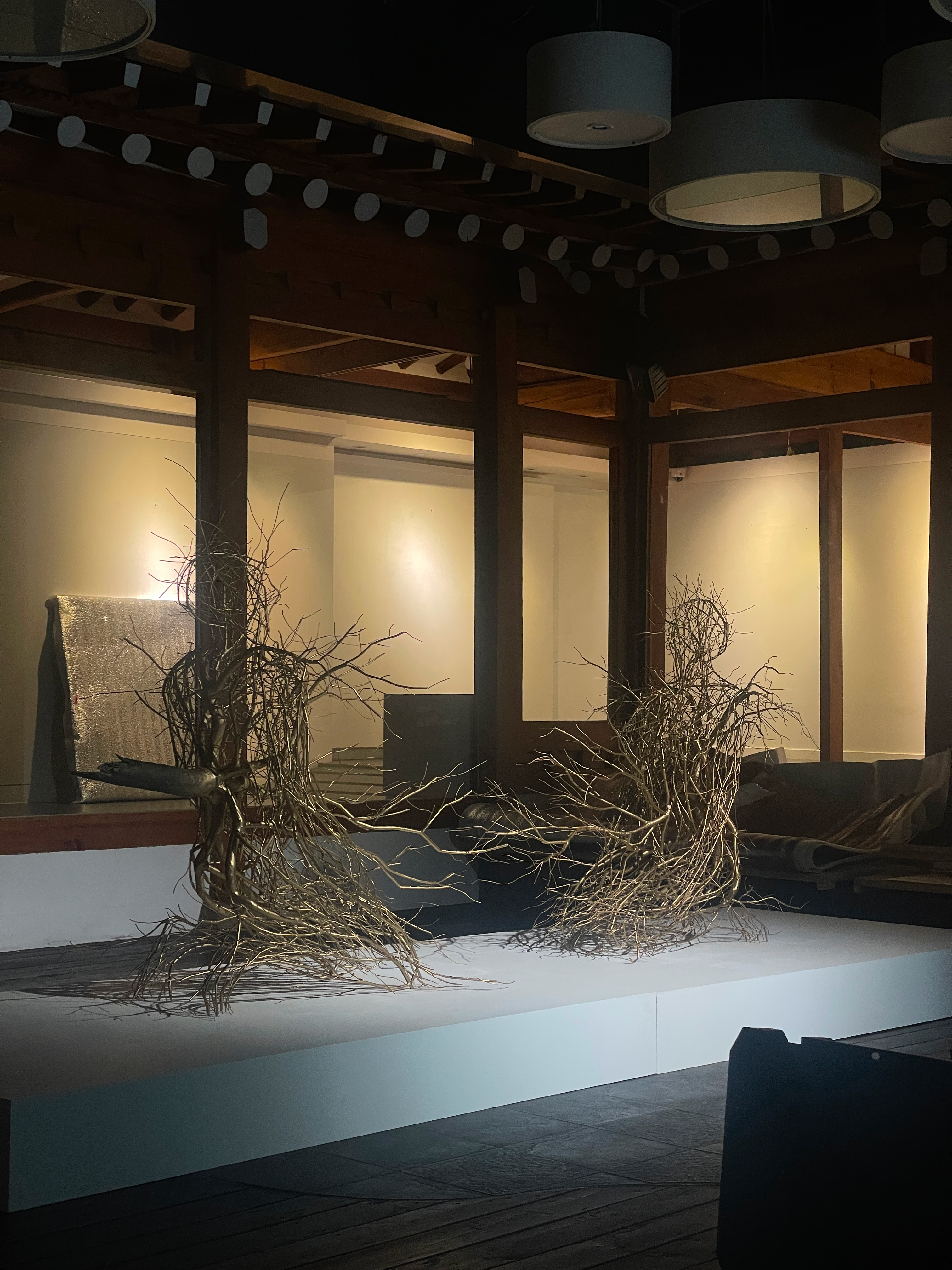 포레스트오브피니티