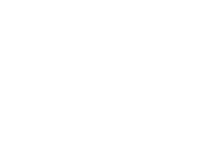 Don Julio