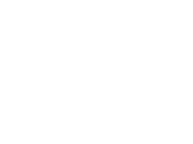 Patrón